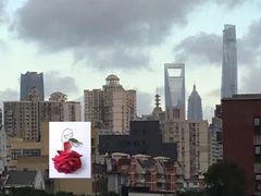 -上海中心大厦
