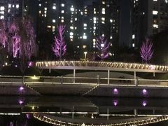 -坝河休闲公园