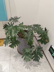 -奥本瑜伽·普拉提