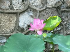 -莲池书院博物馆