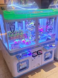 -卡通尼·Safari非洲探索乐园·生日会(金桥国际商业广场店)