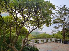 -广州国际生物岛山地公园揽胜园