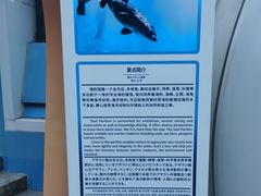 -青岛海底世界-水族馆