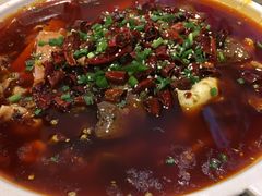 -庆合府重庆大排档(紫都城店)