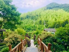 -看见远方·莫干遥远的山民宿