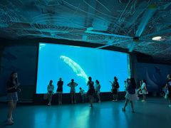 -海合安成都极地海洋公园