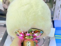 -鹰巢数码EAGLE’S NEST(中关村店)