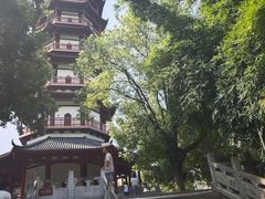 -绳金塔