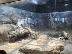 -西安曲江海洋极地公园