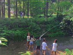 -桤木河湿地公园