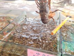 -荔城生鲜盛宴(番禺旗舰店)