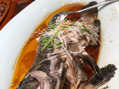 -万荣烤鸭店·北京菜(天坛店)