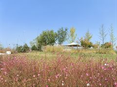 -汉长安城未央宫国家考古遗址公园