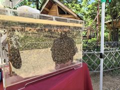 -北京西山国家森林公园