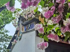 -深圳国际园林花卉博览园