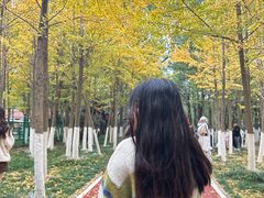 -艾溪湖湿地公园