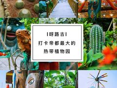 -呀路古热带植物园