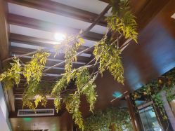 -青青一生美皮肤管理