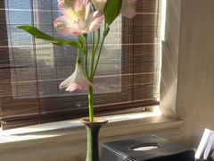 -王家渡火锅店(亦庄店)