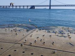 -星海广场