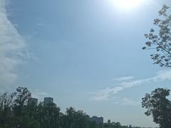 -桂溪生态公园