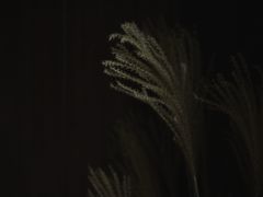 -法云安缦酒店
