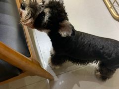 -肆兮眼镜·蔡司·徕卡战略合作店(大坪店)