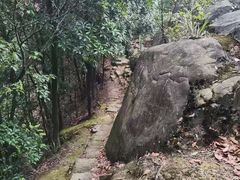 -南山植物园