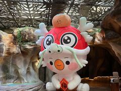 -杭州开元森泊度假乐园