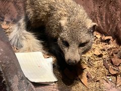 -陕西自然博物馆