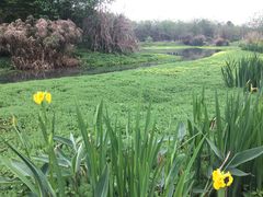 -桤木河湿地公园