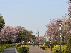 -立新湖公园