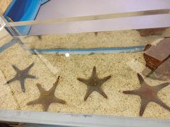 -上海海洋水族馆