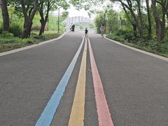 -同里国家湿地公园