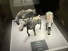 -邯郸市博物馆(新馆)
