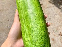 -水库活鱼馆(于桥水库店)