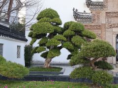-广富林宰相府酒店·水云间