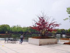 -上海玫瑰园度假酒店