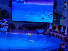 -海合安武汉极地海洋公园