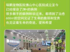 -瑞鹏宠物医院·夜间急症·心超·猫科(祖庙分店)