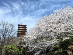 -牛首山文化旅游区