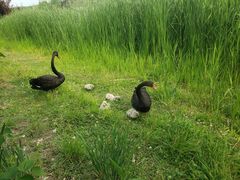 -昆山城市生态森林公园