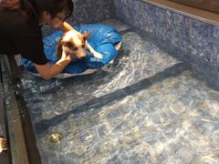 -Oh My Dog宠物沙龙(伊珊娜皮毛护理店)