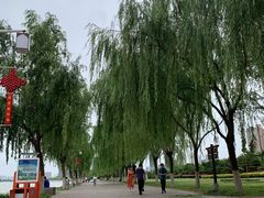 -咸阳湖景区