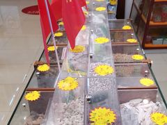 -圣爱中医馆(七星岗店)
