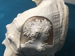 -青岛贝壳博物馆