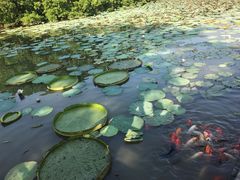 -大湾区中央湿地公园