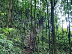 -西岭雪山大飞水景区