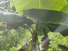 -厨邦酱油文化博览馆