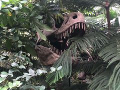 -呀路古热带植物园